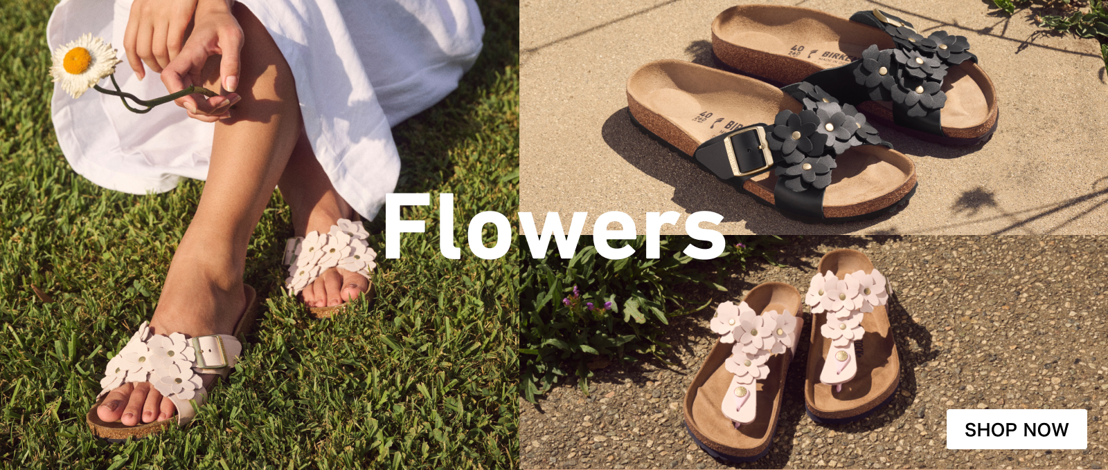 Flowers