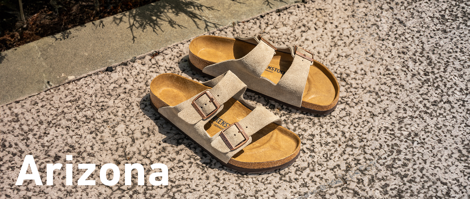 Arizona