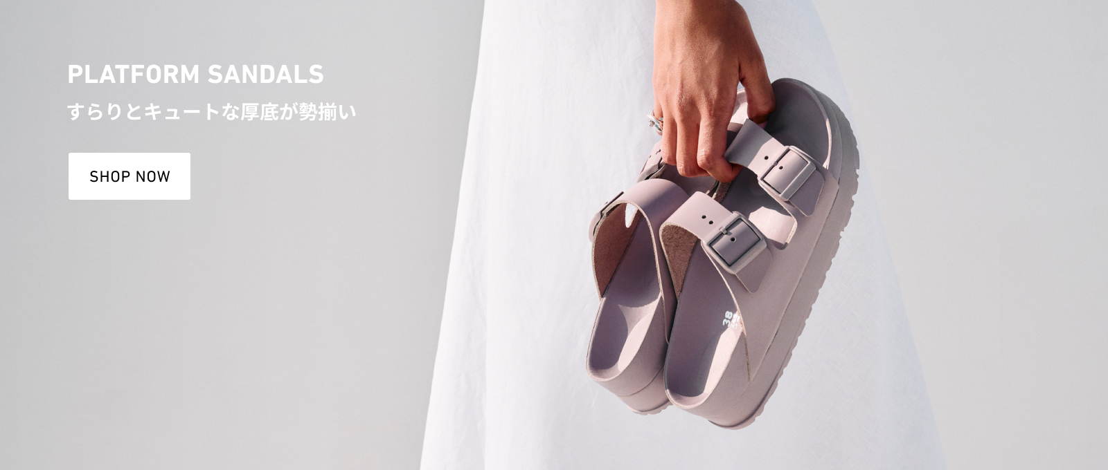 Papillio Platform