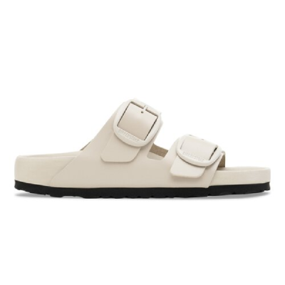 아리조나 빅 버클 익스퀴짓 아말피 오이스터