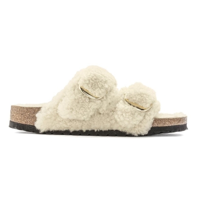 아리조나 빅 버클 테디 시어링 에그쉘