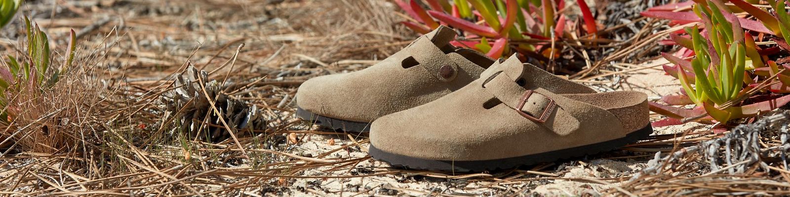 Clogs | BIRKENSTOCKでオンラインショッピング