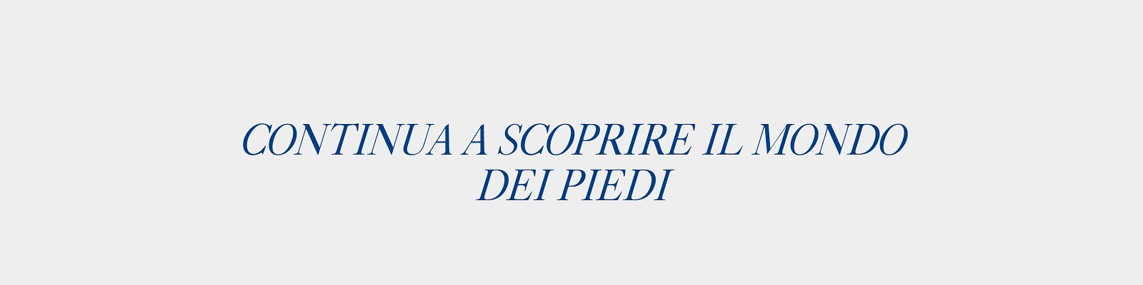 COMPLETE YOUR EXPLORATION OF FEET