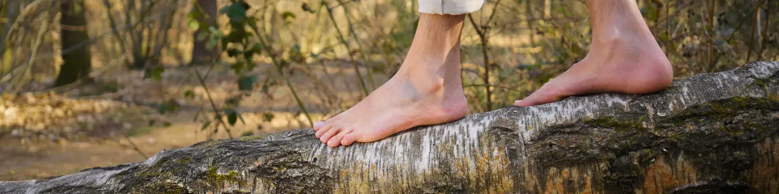 Walking as nature intended BIRKENSTOCK AE