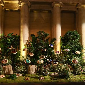 Birkenstock Event 