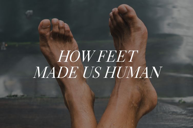 How feet made us human