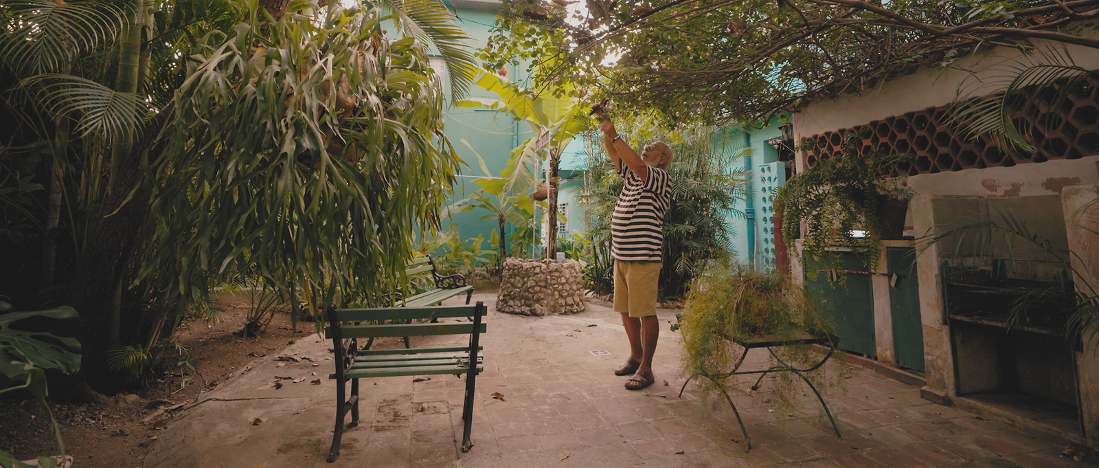 Leonardo Padura in the garden