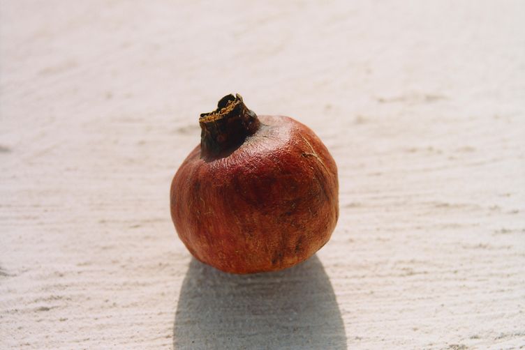 Care Essentials Ingredient Glossary