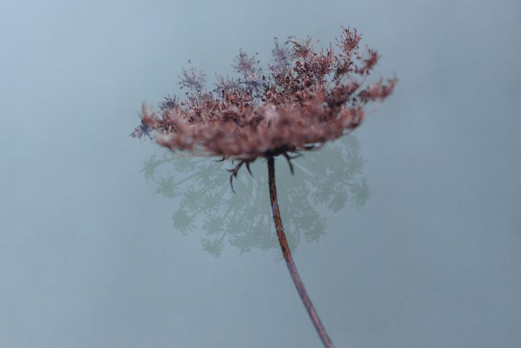 Care Essentials Our commitments cosmos