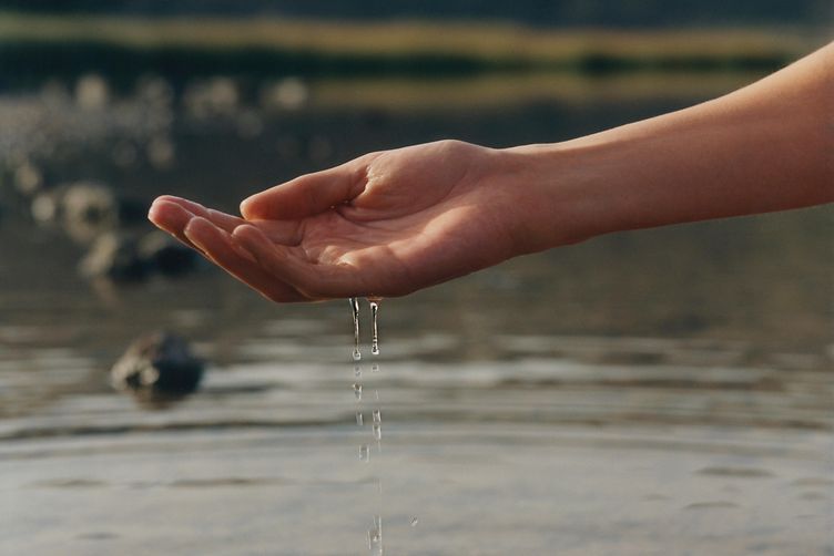 Care Essentials Our Commitment Vegan