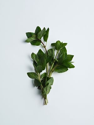 Care Essentials Ingredients Peppermint Hydrolate