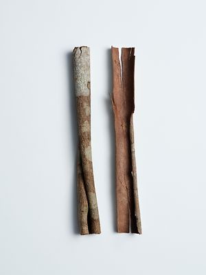 Care Essentials Ingredients White Willow Bark Extract