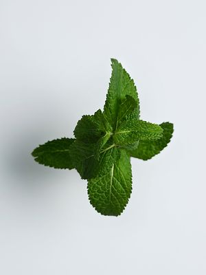 Care Essentials Ingredients Mint/ Menthol