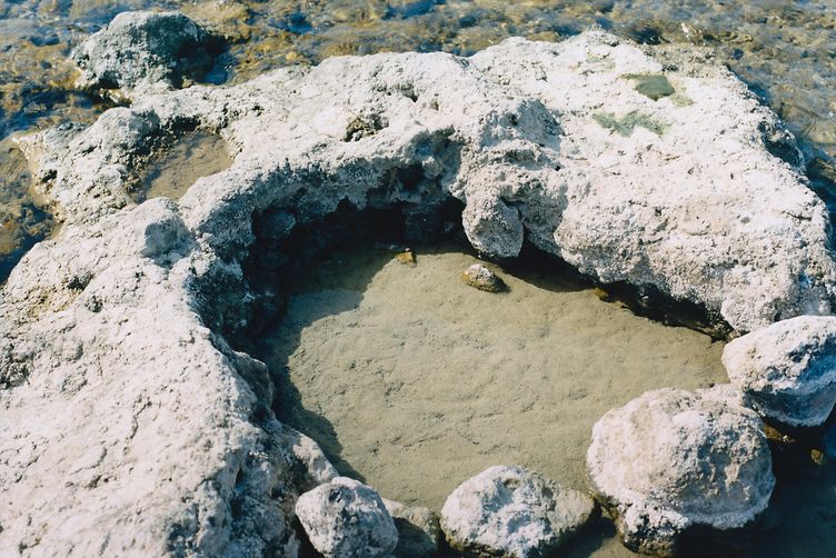 Care Essentials Cosmos Certification