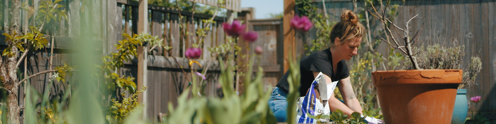 Birkenstory 34 - Erin Johnstone