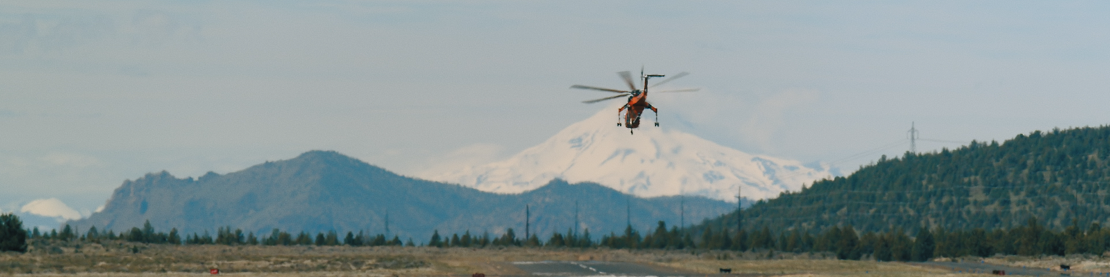 Birkenstory 34 - Erin Johnstone