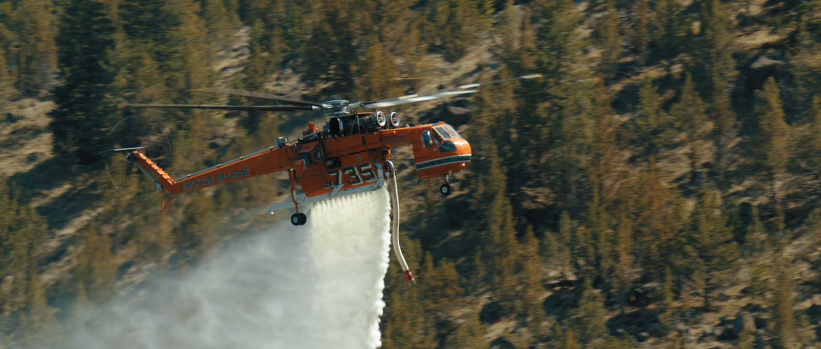 Birkenstory 34 - Erin Johnstone