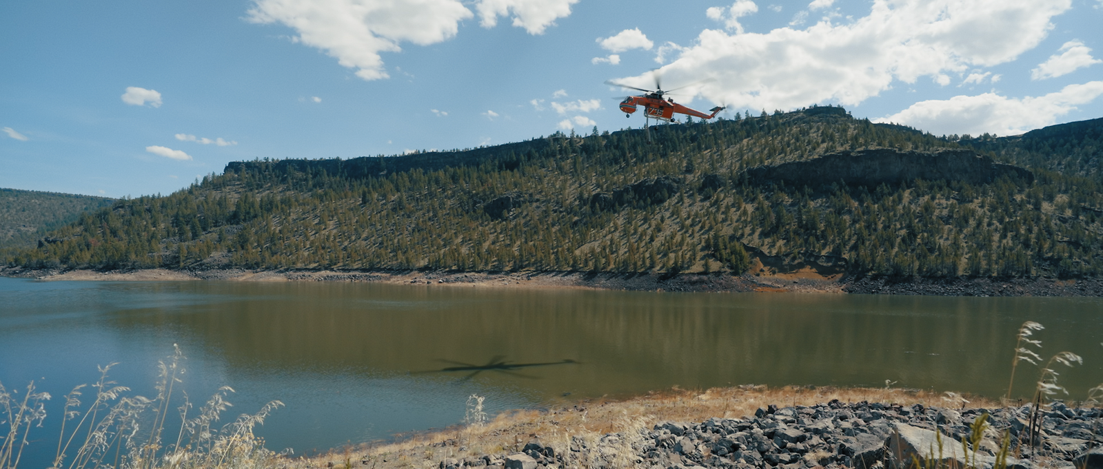 Birkenstory 34 - Erin Johnstone