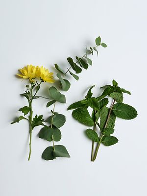 mood boosting essential oils