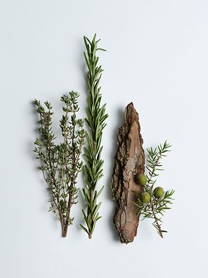 mood boosting essential oils