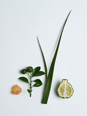 mood boosting essential oils