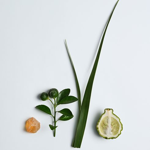 essential oils for relaxation