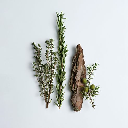 essential oils for relaxation