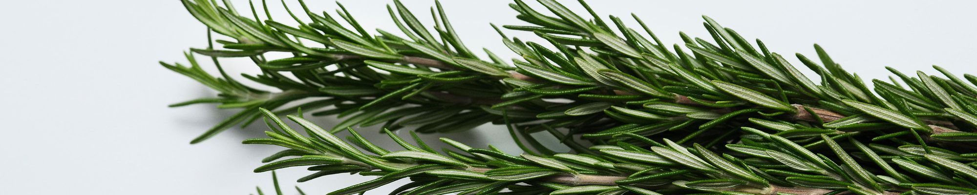 rosemary oil benefits