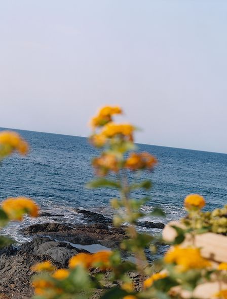 spring foot care routine