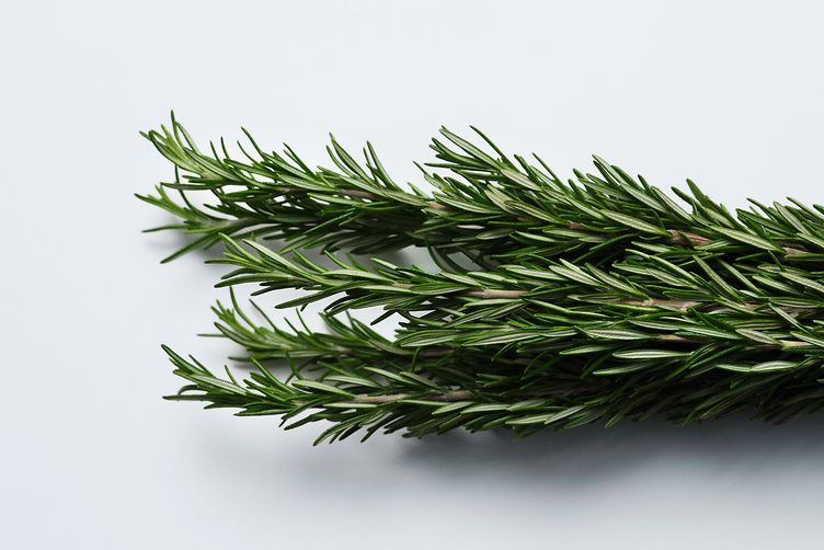 rosemary oil benefits