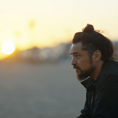 BIRKENSTORY #37 Pat Tenore